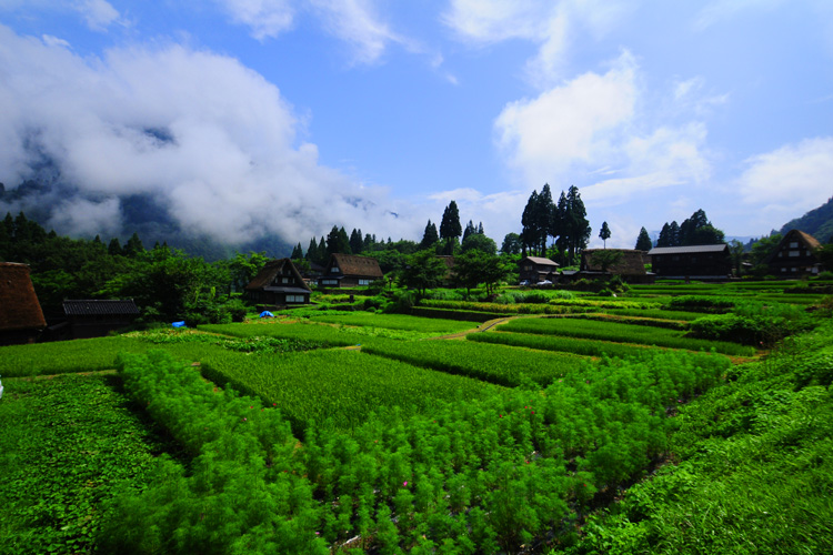 五箇山・相倉