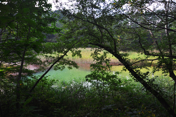 五色沼・深泥沼