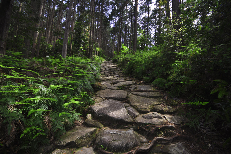 伊勢路・馬越峠