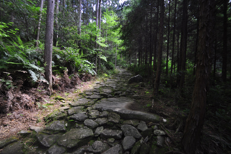 伊勢路・馬越峠