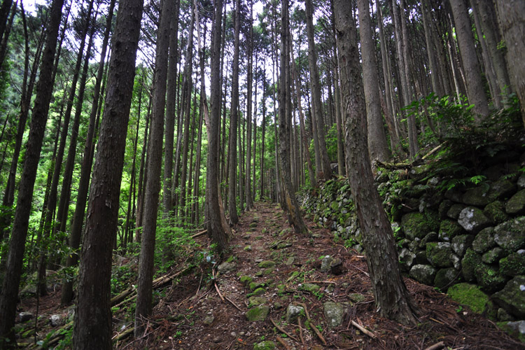 伊勢路・二木島峠