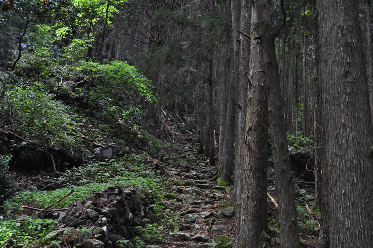 伊勢路・二木島峠