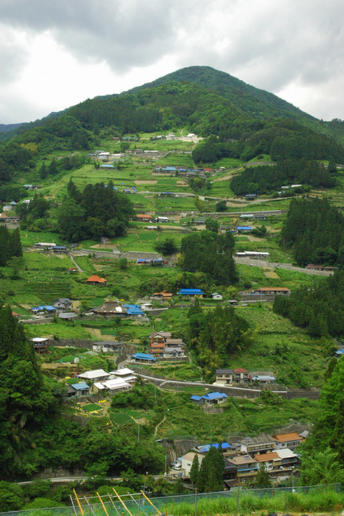 重要伝統的建造物群保存地区・東祖谷山村落合