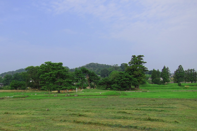 無量光院跡から金鶏山を望む