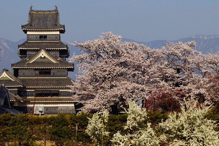 松本城