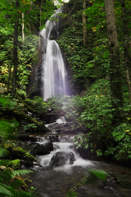 奥入瀬渓流・雲井の滝