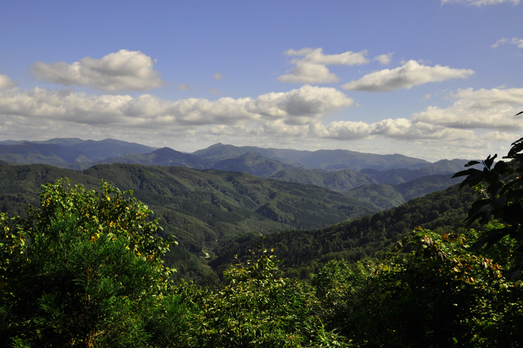 白神山地