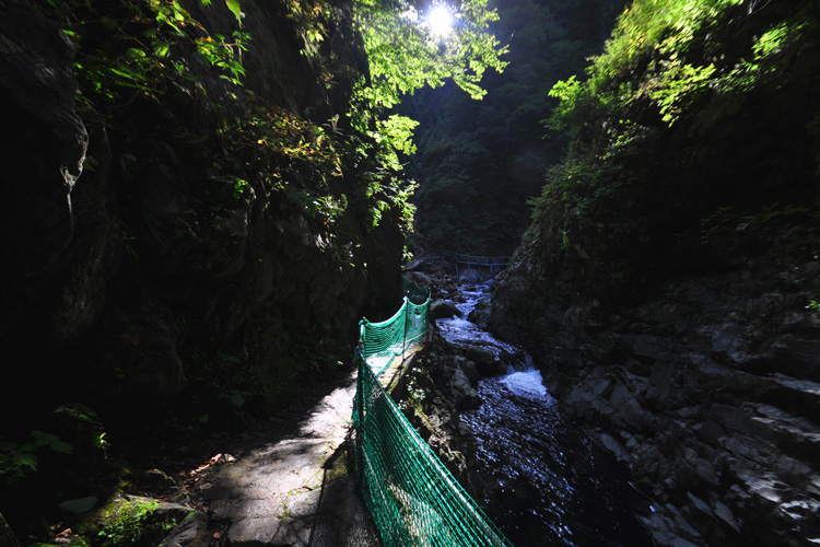 白神山地・トレッキングコース