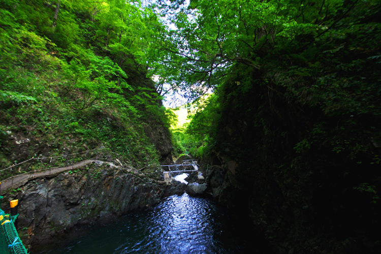 白神山地・トレッキングコース