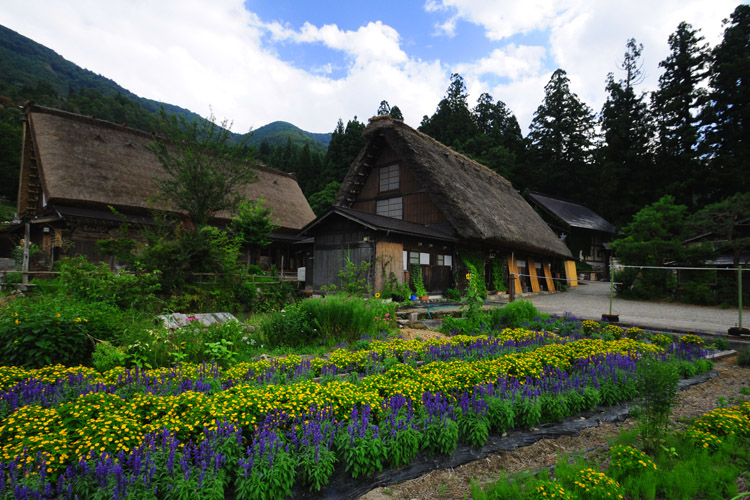 白川郷・荻町・合掌造り