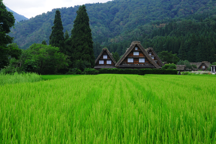 白川郷の風景