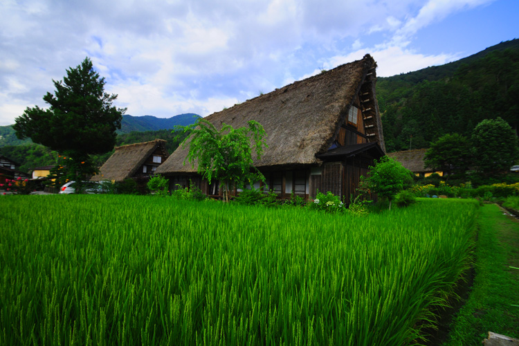 白川郷・荻町・合掌造り