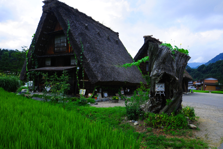 白川郷・荻町・合掌造り