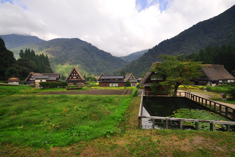 五箇山・菅沼集落林