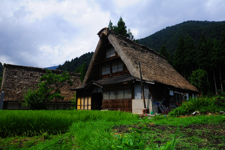 五箇山・菅沼集落林