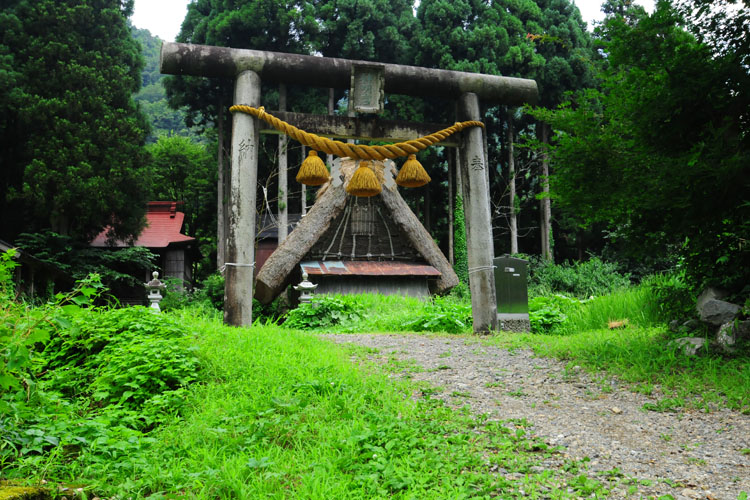 五箇山・菅沼集落林