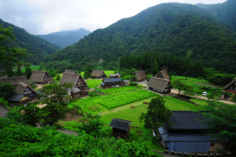 五箇山・菅沼集落林