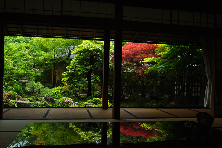 料亭旅館　菊水の庭園