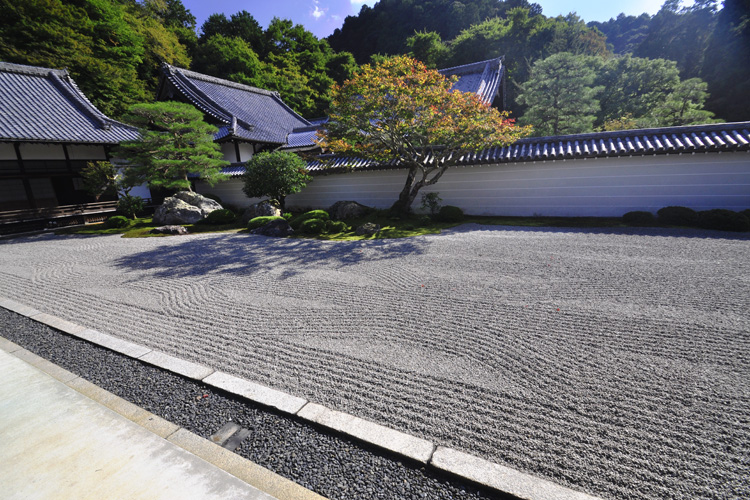 小堀遠州の庭・南禅寺方丈・虎の子渡しの庭