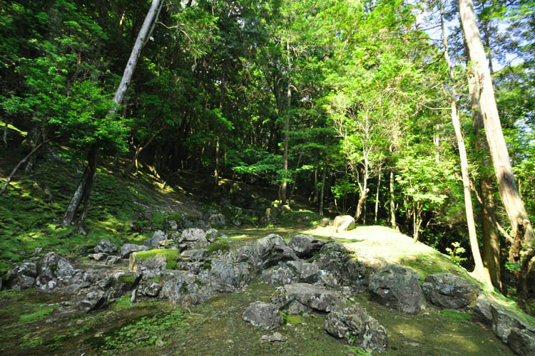 夢窓疎石の庭・西芳寺(苔寺)枯山水庭園