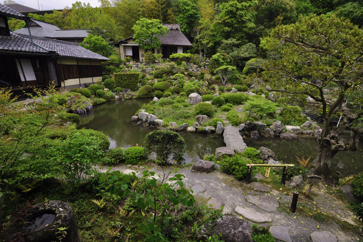 夢窓疎石の庭・等持院