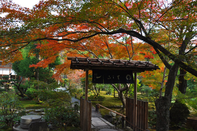 龍安寺・西源院・精進料理