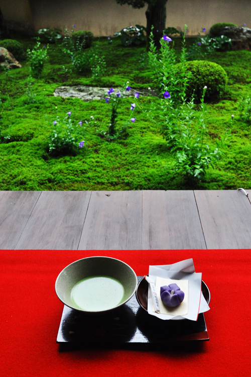 お茶席・東福寺・天得院