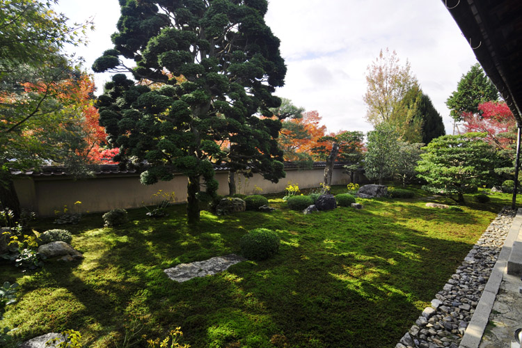 お茶席・東福寺・天得院