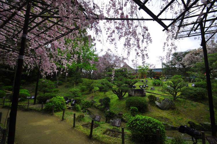 七代目小川治兵衛(植治)・平安神宮