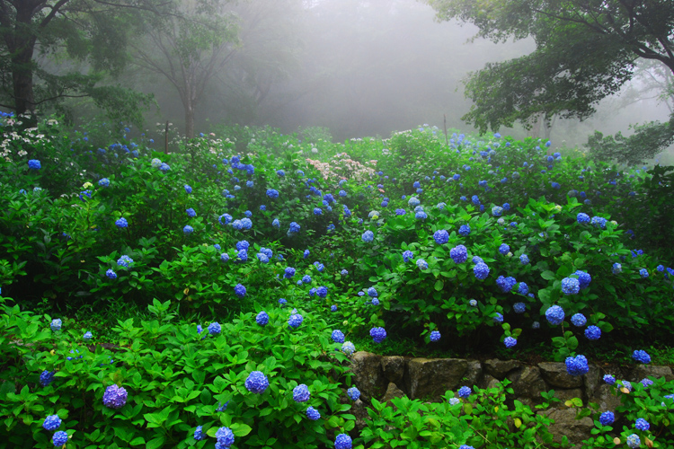 神戸森林植物園