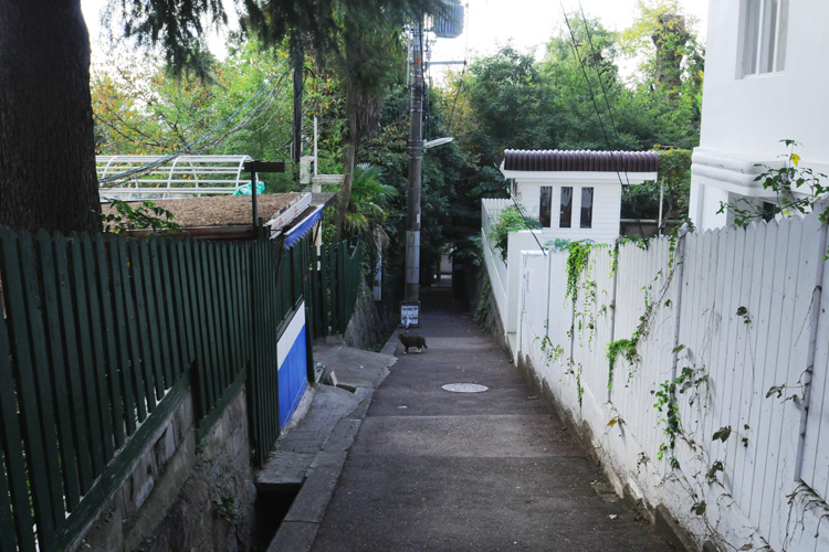 神戸北野異人館・おらんだ坂