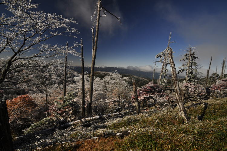 奈良・大台ケ原