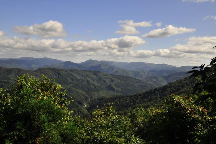 世界遺産　青森・白神山地