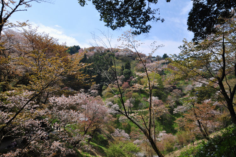 世界遺産・吉野山