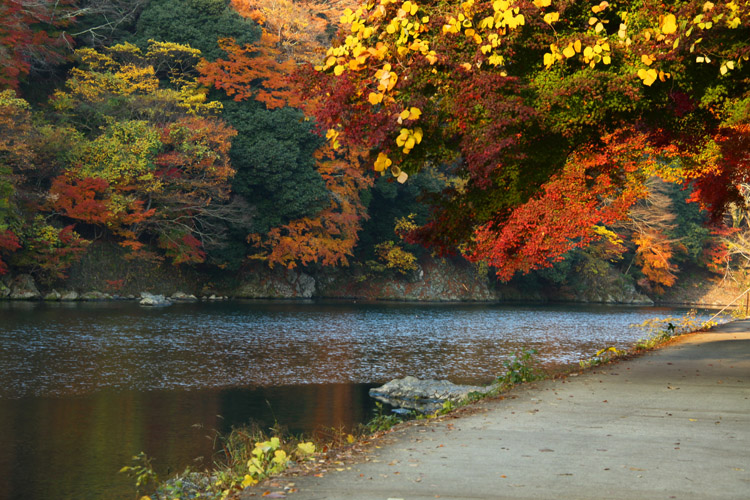 嵐山の景色