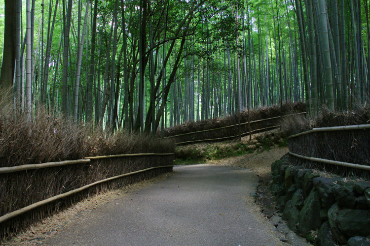 嵯峨野竹林