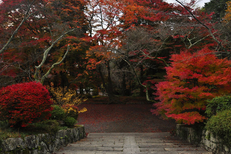 毘沙門堂・境内紅葉