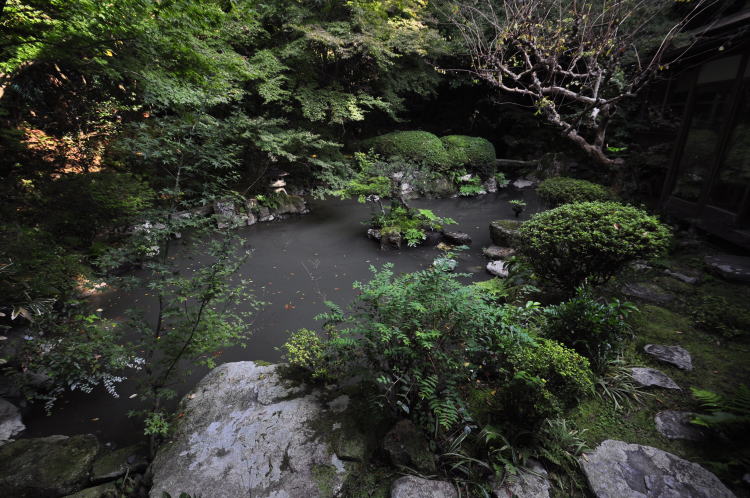 長楽寺・相阿弥の庭