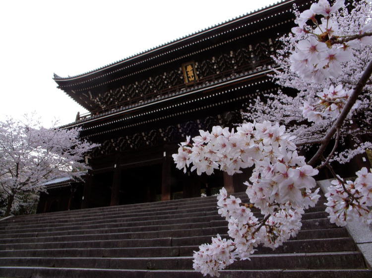 知恩院・三門