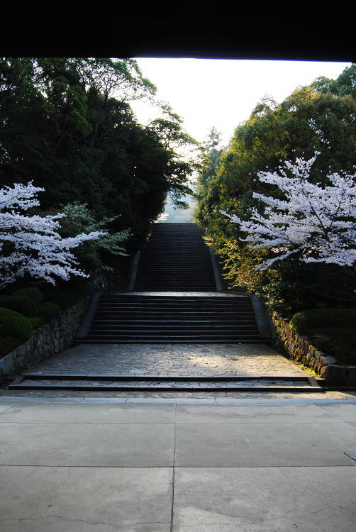 知恩院・男坂