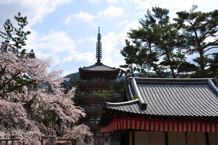 醍醐寺・下醍醐、五重塔