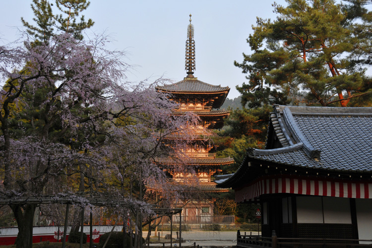 醍醐寺・下醍醐、五重塔