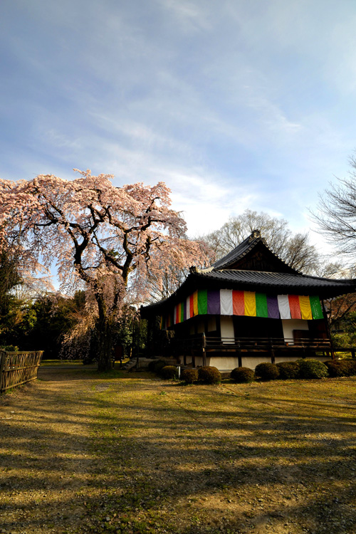 醍醐寺・報恩院