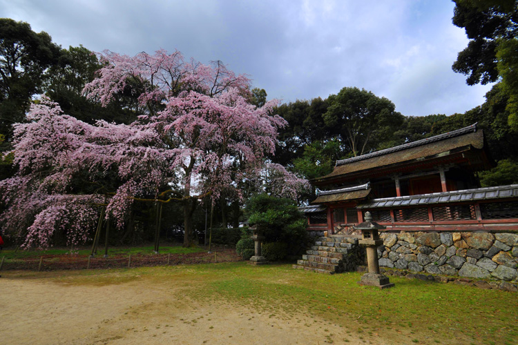 醍醐寺・下醍醐、青瀧宮本殿