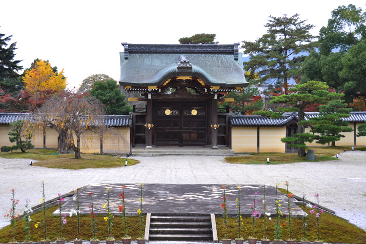 大覚寺・嵯峨菊と勅使門