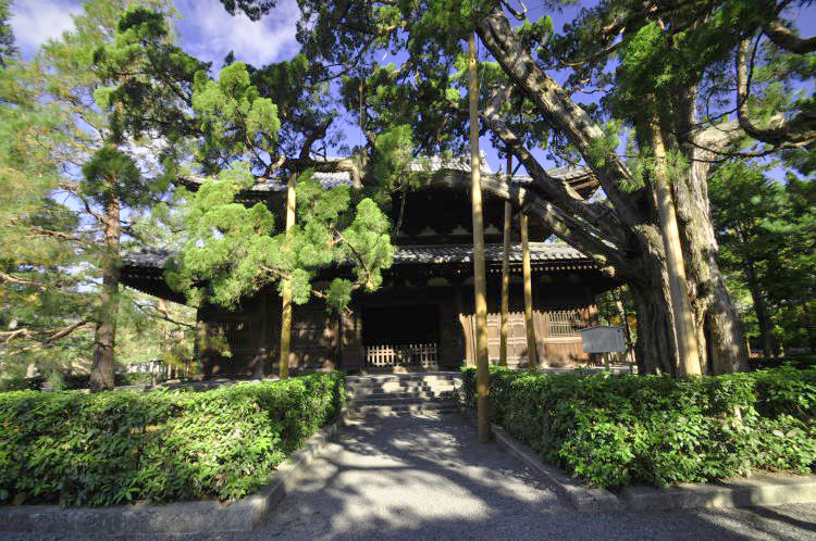 大徳寺・仏殿
