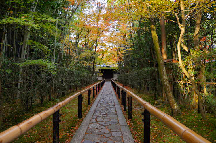大徳寺・高桐院