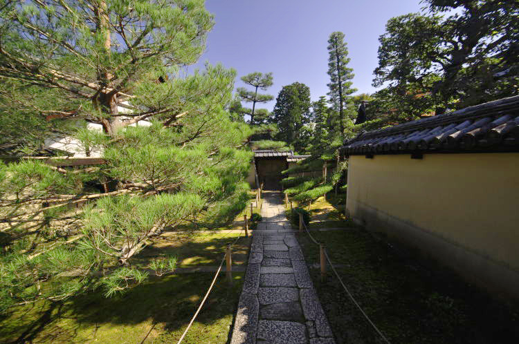 大徳寺・真珠庵