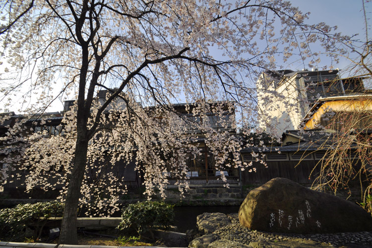 祇園白川・かにかくに碑