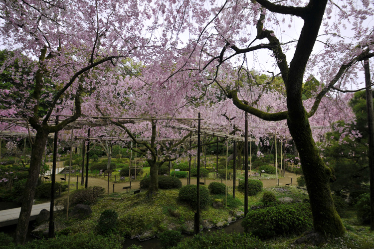 平安神宮・神苑